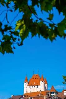 City of Thun with Castle and Branch with Blue Clear Sky in a Sunny Day in Thun