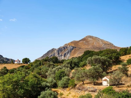 Two chapels in the olive grove