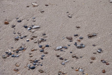 Stones in the sand on the beach