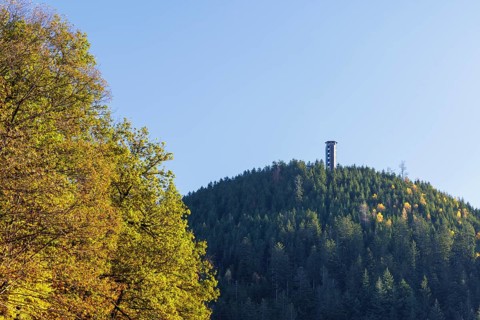 Lookout tower on the Buchkopf on an autumn day