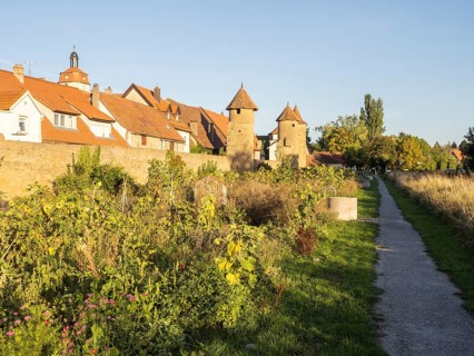 Part of the old town wall and towers