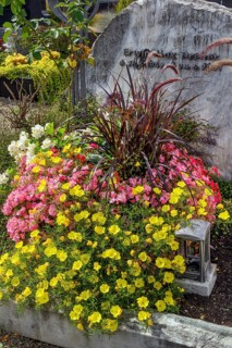 Gravestone with begonias