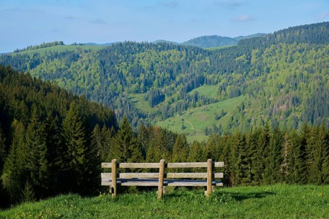 Low mountain landscape