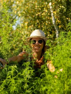 Woman in herb bed