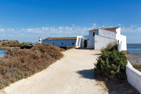 Tidal Mill