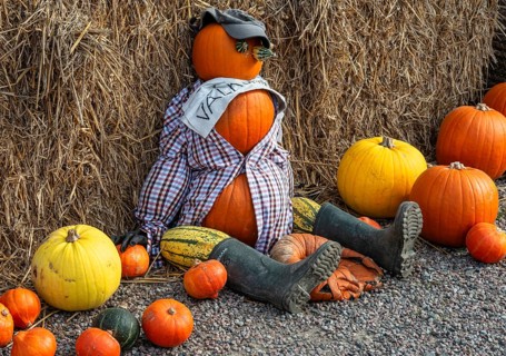 Pumpkin figure in front of shop that sells pumpkins in Loederup