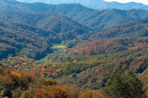 Gorgeous fall colors in the Artikutza natural park between Oiartzun and Lesaka. Basque Country