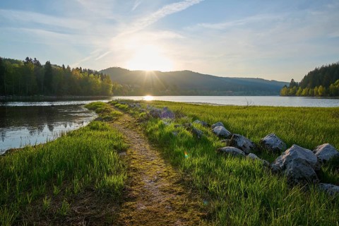 Path