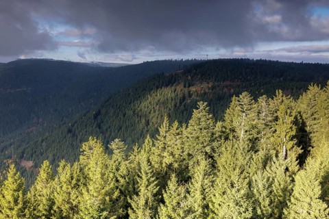 Autumn view from the Buchkopf
