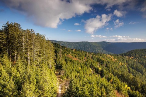 Autumn view from the Buchkopf
