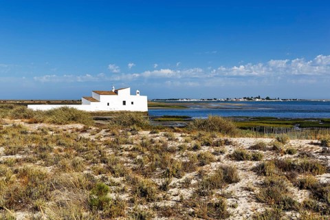 Tidal mill