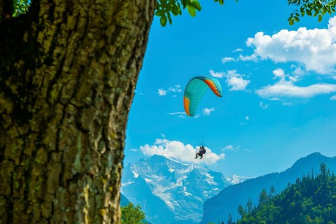 Couple Paragliding in front Of Snow Capped Jungfraujoch Mountain in a Sunny Day in Interlaken