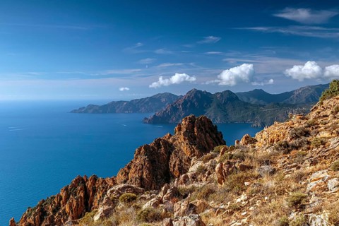 The Calanche a bizarre rocky landscape on the south coast of the Gulf of Porto in the Regional nature park Park of Corsica France Europe