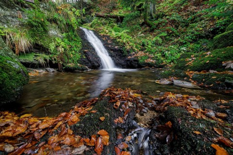 Mountain stream and waterfall in autumn forest