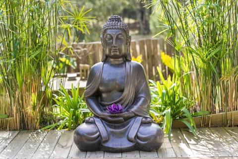 Meditating Buddha Statue with a purple lotus on his hands on a backyard