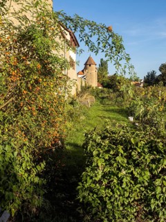Part of the old town wall and towers
