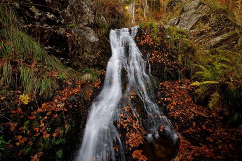 Mountain stream and waterfall in autumn forest