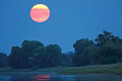 Blue Moon from 31.08.2023