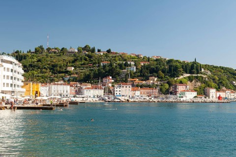 Harbour