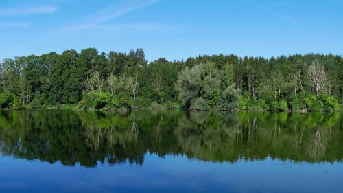 Reflection of trees in the reservoir in Spindelwag