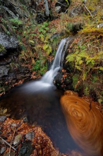 Mountain stream and waterfall in autumn forest