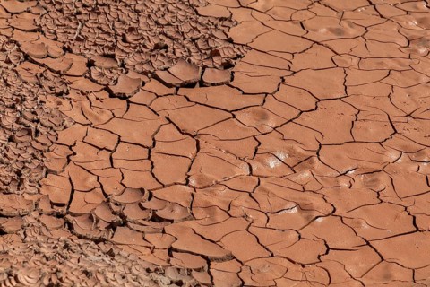 Drought