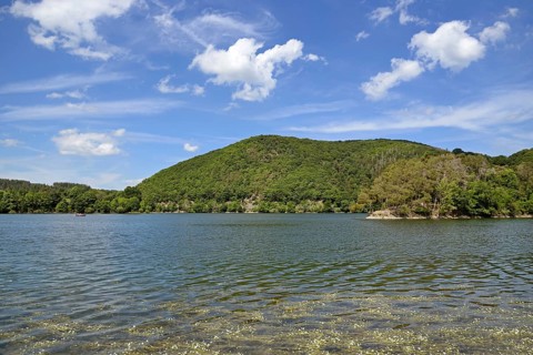 View over the Diemelsee with water crowfoot