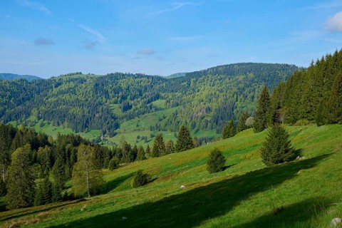 Low mountain landscape