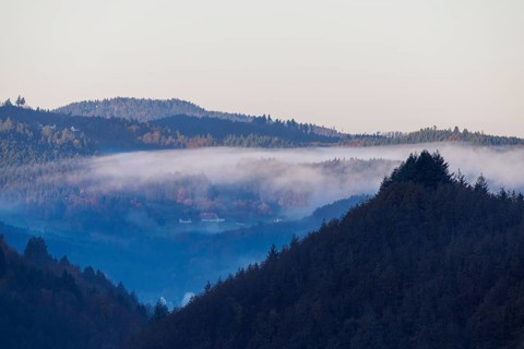 Early November fog near Oppenau