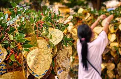 Buddhist golden leaves with wishes and blessings on Bodhi tree in selective focus foreground