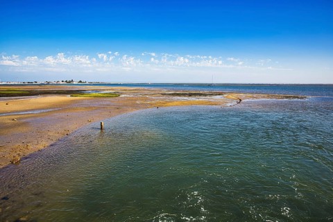 Ria Formosa nature park Park