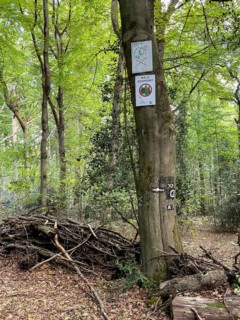 Prohibition sign Warning sign Forest closed No trespassing Old-growth island due to hazard prevention by branches and tree breakage