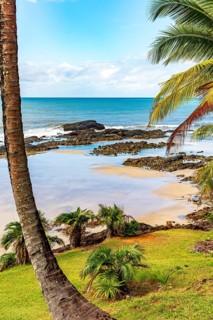 Rocky beach among the coconut trees and vegetation of Serra Grande on the coast of Bahia