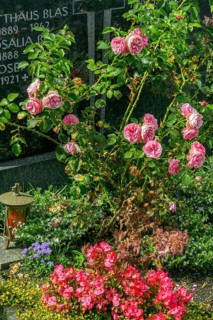 Gravestone with flower decoration and roses