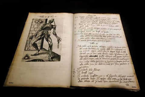 16th century Spanish translation of Vivae imagines partium corporis humani by Joannes Valverde