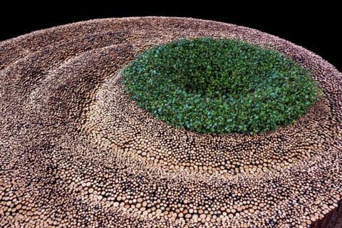 Thematic flower arrangements on various emotional states