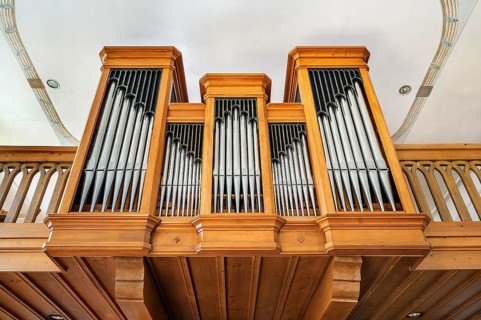 The organ