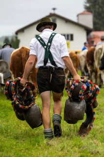 Alpine herdsman carrying cow bells
