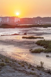 Salt marsh and mudflats at the nature reserve De IJzermonding at Nieuwpoort