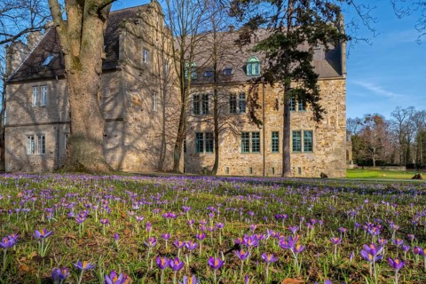 Spring blossom in front of Stadthagen Castle Germany
