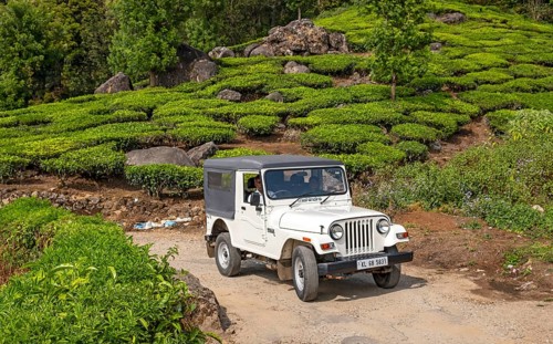 White 4WD rides through Pothamedu tea plantation