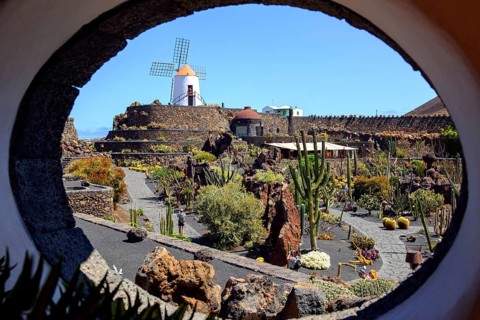 View through round wall opening on paths of cactus garden Jardin de Cactus designed by Cesar Manrique in former quarry in the background old windmill of Guatiza
