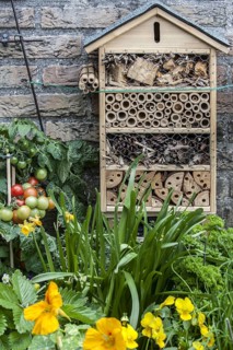 Insect hotel for solitary bees and other insects near flower and vegetable garden