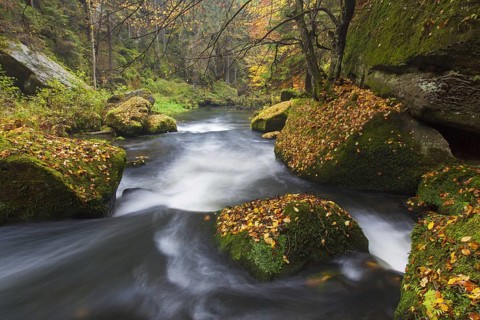 Kamnitz Gorge