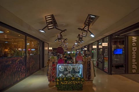 Fashion shop on the Champs Elysees