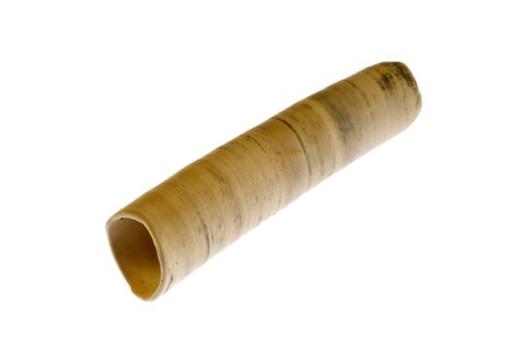 Elephant tooth shell