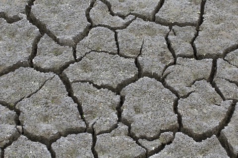 Abstract pattern of dry cracked clay mud in dried up lake bed