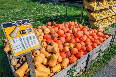Outdoor pumpkin sale