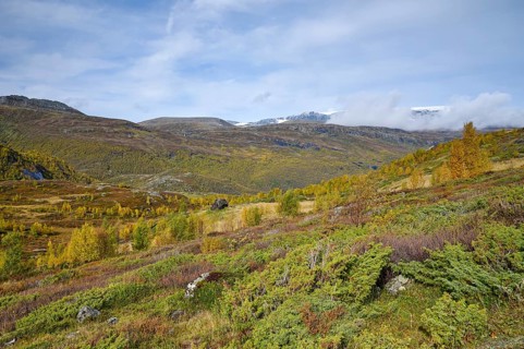 Autumn landscape in Boverdalen