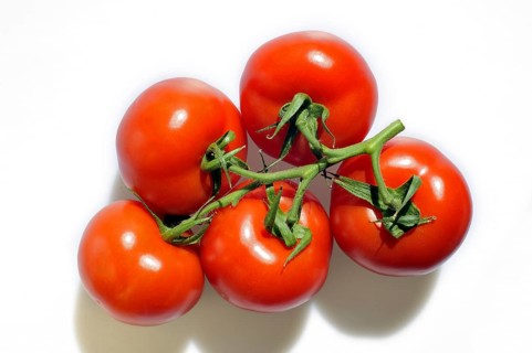 Bunch of vine tomatoes